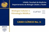 UNAM. Facultad de Medicina Departamento de Biología ...bct.facmed.unam.mx/.../2018/07/CASO-No.-11-Tema-Sistema-Cardiovascular.pdf · CASO No. 11 • Hace 2 días, inició su sintomatología