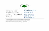 Proyecto Colegio Educativo Óscar Institucional Castro 2019 ... · didácticas, instrumentos de evaluación, supervisiones y acompañamiento docente en aula, talleres extraescolares,