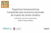 Trayectorias Socioeconómicas Compartidas para escenarios ... · indicadores y datos •Para análisis de impacto, adaptación y vulnerabilidad la escala geográfica y temporal puede