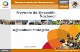 Febrero de FIFONAFE/I... · Agricultura Protegida: Sistema de producción que se realiza bajo estructuras construidas con la finalidad de evitar las restricciones que el medio ambiente