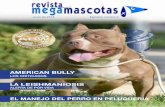 AMERICAN BULLY - Revista Megamascotasrevista.megamascotas.net/wp-content/uploads/2018/06/Megamascotas-2.pdf · realización de pruebas de ADN para crear las genealogías genéticas,