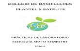 PRÁCTICAS DE LABORATORIO ECOLOGÍA SEXTO SEMESTREquimicabiologia.weebly.com/uploads/5/8/7/2/58725871/practicas_de_ecologia_2020.pdfINFLUENCIA DE LOS FACTORES ABIOTICOS EN EL DESARROLLO