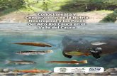Conocimiento y Conservación de la Nutria Neotropical y los ... · y su relación con el ensamblaje de peces. En este proyecto, se estudiaron la nutria, los peces y macroinvertebrados