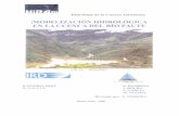 Modelización hidrológica en la cuenca del río Pautehorizon.documentation.ird.fr/exl-doc/pleins_textes/...sequias en las cuencas ecuatorianas deI Paute y del Guayas. A partir de