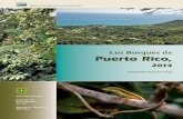 Los Bosques de Puerto Rico, - Southern ResearchLos Bosques de Puerto Rico, 2014 Humfredo Marcano Vega Vista desde el bosque seco de la isla de Culebra hacia el bosque y faro de Culebritas,