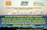Nuevas variedades de papa Solanum tuberosum spp Andígena ...nkxms1019hx1xmtstxk3k9sko.wpengine.netdna-cdn.com/wp-content/uploads... · El programa de mejoramiento del CIP ha desarrollado