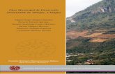 Plan Municipal de Desarrollo Sustentable de Siltepec, Chiapasbioteca.biodiversidad.gob.mx/janium/Documentos/6523.pdf · Bibliografía 143. 7 Agradecimientos A la Presidencia Municipal