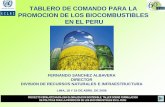 TABLERO DE COMANDO PARA LA PROMOCION DE LOS ... · promocion de los biocombustibles en el peru fernando sanchez albavera director division de recursos naturales e infraestructura.