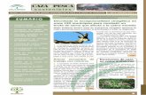 sostenibles - Junta de Andalucía · y de conservación de aves rapaces de An-dalucía para poner en común criterios y acciones futuras para la mejora y consoli-dación de la cetrería