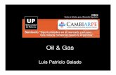 Oil & Gas - Palermo · Oil & Gas Luis Patricio Salado. ... Precios Combustibles liquidos vs Gas (2009) 11.7 22.3 3.3 15.5 4.6 9.6 8.3 12.4 0.0 5.0 10.0 15.0 20.0 25.0 Gas Natural