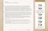 Feo! - Fundación Caja de Burgos Feo.pdf · Un espectáculo inspirado en el cuento El patito feo, de Hans Christian Andersen. La pequeña fábrica de patitos de goma “Il Papero