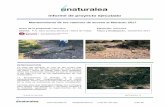 Informe de proyecto ejecutado - Naturalea · info@naturalea.eu (+34) 937 301 632 1 de 14 Informe de proyecto ejecutado Mantenimiento de los caminos de acceso al Montcau 2017 Autor