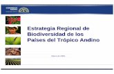 ) Estrategia Regional de Biodiversidad de los Países del Tr...Componentes 1. Fortalecimiento de las capacidades de gestión de la biodiversidad a nivel regional, nacional y sub-nacional.