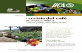 JUNIO 2013 La crisis del café en Mesoamérica roya en... · Síntesis preparada por el Programa Cooperativo Regional para el Desarrollo Tecnológico y la Modernización de la Caficultura