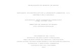 REFLEXIÓN: INCORPORACIÓN LA DIMENSIÓN AMBIENTAL A LA ...bibliotecadigital.univalle.edu.co/bitstream/10893/6773/1/CD-0395429.pdf · Instrumentos para el diseño y construcción