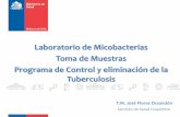 Laboratorio de Micobacterias Toma de Muestras …...12 Conservación y Transporte de Muestras • Mantener refrigerada a 4 - 8 C dentro de un contenedor con tapa hasta su transporte