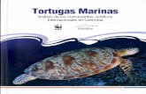 Tortugas Marinas - invemar.org.co · 3. Convención Sobre la Conservación de las Especies Migratorias de Animales Silvestre 20 4. Convención sobre el Comercio Internacional de Especies