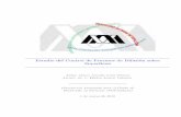 Estudio del Control de Procesos de Difusión sobre Super ciessgpwe.izt.uam.mx/files/users/uami/hect/tesis/TesisDoc-DALV-red.pdf · Gradiente Conjugado, solución del problema (A.22)