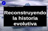 Modulo VI. DIVERSIDAD Y CLASIFICACION. Reconstruyendo · Escuela de taxonomia evolutiva Se basa en la idea de que la VARIACIÓN INTRAESPECIFICA es crucial para entender la ... basada