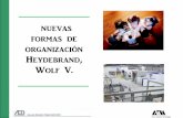 nuevas formas de organización Heydebrand, Wolf V.sgpwe.izt.uam.mx/.../Formas_de_trabajo.pptx_3.pdf · La hipótesis de trabajo plantea también una serie de preguntas de análisis