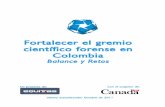 Fortalecer el gremio científico forense en Colombia · Fortalecer el gremio científico forense en Colombia: Balance y Retos EQUITAS, Colombia, 2011 Página 4 de 40 I. Introducción