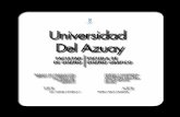 Universidad Del Azuaydspace.uazuay.edu.ec/bitstream/datos/2617/1/09805.pdf · La primera que se enfoca en la investigación teórica sobre la ventajas que trae trasladarse a esta