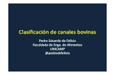 Clasificaciónde canalesbovinas · Clasificaciónde canalesbovinas Pedro Eduardo de Felício Faculdade de Enga. de Alimentos UNICAMP @pedrodefelicio
