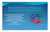 Alianza Estatal México-EE.UU. de la Conferencia de Procuradores Generales de … · 2020-01-03 · Dr. Víctor Núñez, Subprocurador, Fiscalía del Condado de San Diego, California