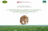 LA BIODIVERSIDAD, LOS BOSQUES Y EL DESARROLLO EN LOS ... · La Biodiversidad, los Bosques y el Desarrollo en los Países Miembros del SICA 5 Base de Referencia 1.1.MARCO REFERENCIAL