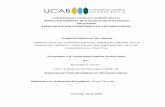 UCAB Trabajo Especial de Grado Postgrado DORG Alexandra Hoyerbiblioteca2.ucab.edu.ve/anexos/biblioteca/marc/texto/AAS7570.pdf · y en especial en la dirección operativa del área