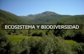 ECOSISTEMA Y BIODIVERSIDADocw.uniovi.es/.../content/1/Agr_T01_Biodiversidad.pdfBiodiversidad (neologismo del inglés Biodiversity, a su vez del griego βιο-, vida, y del latín diversĭtas,