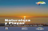 guia naturaleza y playas castellano - Cala Millor · actualmente en cala millor se estÁ llevando a cabo un estudio de tendencias en las dinÁmicas de las playas, ofreciendo informaciÓn