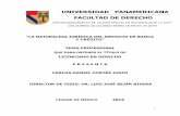 UNIVERSIDAD PANAMERICANA FACULTAD DE DERECHObiblio.upmx.mx/tesis/155166.pdf · 2016-06-10 · i “la naturaleza jurÍdica del servicio de banca y crÉdito” tesis profesional que