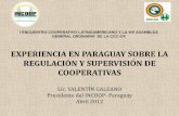 I ENCUENTRO COOPERATIVO LATINOAMERICANO Y LA XIV …ccc-ca.com/blog/wp-content/uploads/2012/04/Cooperativismo-Paraguay.pdf · participación de las cooperativas en el sistema financiero