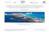 “ESTUDIO DE LA VULNERABILIDAD Y PROGRAMA DE …Tasa de erosión promedio anual en puntos críticos de mayor erosión del destino turístico de Cancún ..... 18 Tabla 6. Tasa de acreción