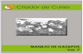 MANEJO DE GAZAPOS Vol. 7 - Sena · 2017-08-03 · ÍNDICE 3 El buen manejo de los gazapos así como del resto de los animales es quizá uno de Los factores más importantes que usted