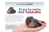 Tras la veta del Tantalio - CEDIB | Centro de ...Antes de iniciar cualquier prospecto minero se debe deforestar y descubrir la superﬁcie de la tierra. En base a las pesquisas de