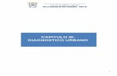 CAPITULO III: DIAGNOSTICO URBANO III.pdf · la realidad algorítmica de los procesos de crecimiento poblacional, su estructura por sexo y edades, así como su dinámica migratoria;
