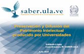 Preservación y Difusión del Patrimonio Intelectual …...Preservación y difusión del patrimonio intelectual Características principales del Repositorio Institucional SABER-ULA