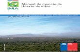 Manual de manejo de Huerto de olivo - INIAbiblioteca.inia.cl/medios/biblioteca/boletines/NR40986.pdfManual de manejo de huerto de olivo [1] Instituto de Desarrollo Agropecuario - Instituto