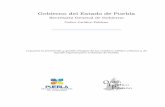 Gobierno del Estado de Puebla - Orden Jurídico Nacionalordenjuridico.gob.mx/Documentos/Estatal/Puebla/wo96704.pdf · Gobierno del Estado de Puebla Secretaría General de Gobierno