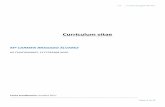 Currículum vitae - psicologia.ucm.es BRAGAD… · CV | Carmen Bragado Álvarez Página 6 de 13 Bragado, C. (2007). Problemas de ansiedad en la infancia y adolescencia (en el Master