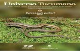 Universo Tucumano 24 - Cercosaura parkeri (Cabrera et al.)lillo.org.ar/revis/universo-tucumano/2019/2019-ut-v24.pdf · 2019-02-19 · Universo Tucumano Nº 24 – Febrero 2019 4 norteamericana