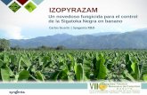 Presentación de PowerPoint - Augura · 2018-09-03 · residualidad en el control. •Optimiza el control de Sigatoka Negra /Plantación más verde y saludable para un máximo potencial