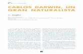 Cuadernos de Biodiversidad CARLOS DARWIN, UN GRAN … · 2016-08-20 · Desde entonces Darwin desarrolla una de sus más notables capacidades: la lectura de una cantidad prodigiosa