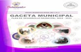 Plan de Desarrollo Municipal de Tlalmanalco 2019-2021 ...€¦ · seguimiento y evaluación del desempeño, transparencia y rendición de cuentas efectivas y la desaparición de prácticas