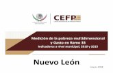 Nuevo León - CEFP · 2018-02-07 · Nuevo León Medición de la pobreza multidimensional y Gasto en Ramo 33 Indicadores a nivel municipal, ... una persona se encuentra en situación