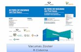 Vacunas Zoster - SEIMC...zóster, como la administración de la vacuna para la varicela tengan un papel importante en la prevención de los accidentes cerebro vasculares en los primeros