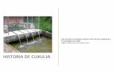Historia de cuxulja - UPN Virtualaudiovisual.upnvirtual.edu.mx/images/lab/william.pdfLa comunidad de Cuxulja, pertenece al municipio de Ocosingo, se localiza en el estado de Chiapas.