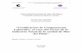 Certificación de competencias laborales - MDPnulan.mdp.edu.ar/647/1/salgueiro_ss.pdfprocesos de implementación de sistemas de normalización y certificación de competencias laborales,